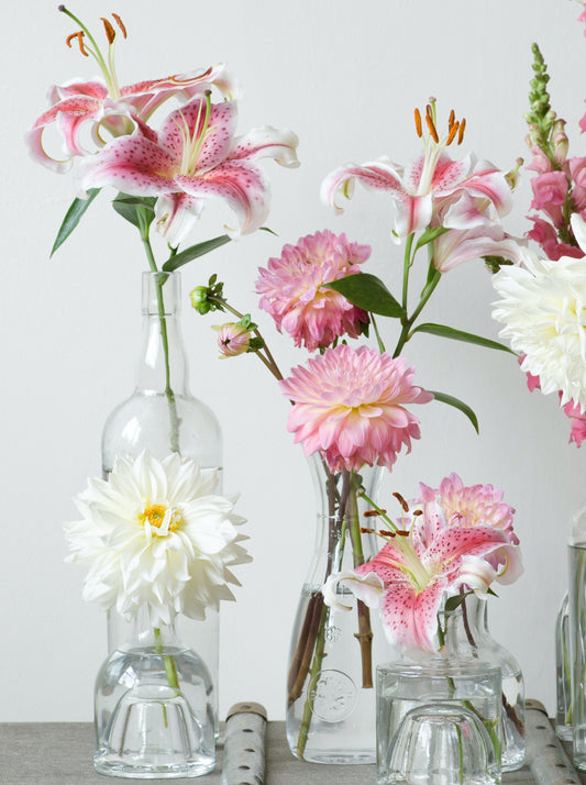 Oneday Flower Class